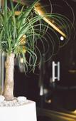Туры в отель Dunetton - Self Check-in Hotel Туры в отель Dunetton - Self Check-in Hotel