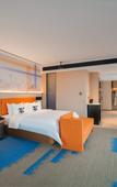 Туры в отель Hampton by Hilton Chongqing East Railway Station Chayuan New Area Туры в отель Hampton by Hilton Chongqing East Railway Station Chayuan New Area
