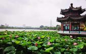 Туры в отель Vienna 3 Best Hotel (Jinan Daming Lake Beimen) Туры в отель Vienna 3 Best Hotel (Jinan Daming Lake Beimen)