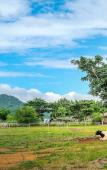 Туры в отель Intercontinental Khao Yai Resort by IHG Туры в отель Intercontinental Khao Yai Resort by IHG