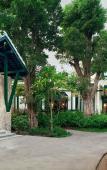 Туры в отель Intercontinental Khao Yai Resort by IHG Туры в отель Intercontinental Khao Yai Resort by IHG