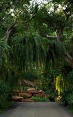 Туры в отель Intercontinental Khao Yai Resort by IHG Туры в отель Intercontinental Khao Yai Resort by IHG