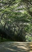 Туры в отель Intercontinental Khao Yai Resort by IHG Туры в отель Intercontinental Khao Yai Resort by IHG