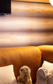Туры в отель Ibis Styles Les Houches Chamonix Туры в отель Ibis Styles Les Houches Chamonix