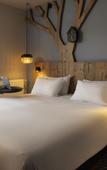 Туры в отель Ibis Styles Les Houches Chamonix Туры в отель Ibis Styles Les Houches Chamonix