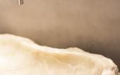 Туры в отель Carpe Diem Boutique Hotel Туры в отель Carpe Diem Boutique Hotel