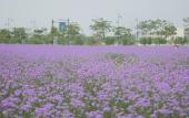 Туры в отель LANDISON PLAZA E-FASHION HOTEL HANGZHOU Туры в отель LANDISON PLAZA E-FASHION HOTEL HANGZHOU
