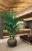 Туры в отель Gion Elite Terrace Туры в отель Gion Elite Terrace