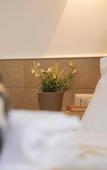 Туры в отель H22 Hotel Туры в отель H22 Hotel