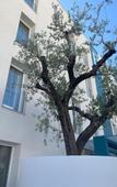 Туры в отель Biancodonda Greenblu Hotel & SPA Туры в отель Biancodonda Greenblu Hotel & SPA