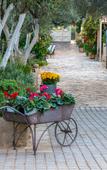 Туры в отель Comfort Stay Athens Airport Hotel - FREE shuttle from and to the airport Туры в отель Comfort Stay Athens Airport Hotel - FREE shuttle from and to the airport