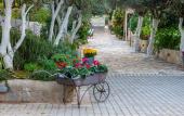 Туры в отель Comfort Stay Athens Airport Hotel - FREE shuttle from and to the airport Туры в отель Comfort Stay Athens Airport Hotel - FREE shuttle from and to the airport