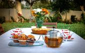 Туры в отель Comfort Stay Athens Airport Hotel - FREE shuttle from and to the airport Туры в отель Comfort Stay Athens Airport Hotel - FREE shuttle from and to the airport