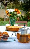 Туры в отель Comfort Stay Athens Airport Hotel - FREE shuttle from and to the airport Туры в отель Comfort Stay Athens Airport Hotel - FREE shuttle from and to the airport