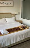 Туры в отель East Holiday Hotel Туры в отель East Holiday Hotel