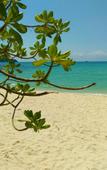Туры в отель Goodview Kohkood Туры в отель Goodview Kohkood