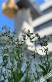 Туры в отель Post 120 Suites Туры в отель Post 120 Suites