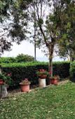 Туры в отель Hotel Baia Del Sole Туры в отель Hotel Baia Del Sole
