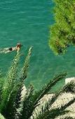 Туры в отель Cavtat Apartments Туры в отель Cavtat Apartments