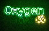 Туры в отель Oxygen Hostel Туры в отель Oxygen Hostel