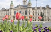 Туры в отель Hotel Domus Collis Туры в отель Hotel Domus Collis
