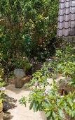 Туры в отель Homestay VuonTung (Pine Garden) Туры в отель Homestay VuonTung (Pine Garden)