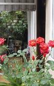 Туры в отель Homestay VuonTung (Pine Garden) Туры в отель Homestay VuonTung (Pine Garden)