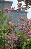 Туры в отель Hampton by Hilton Jining Innovation Valley Туры в отель Hampton by Hilton Jining Innovation Valley