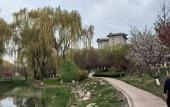 Туры в отель Hampton by Hilton Jining Innovation Valley Туры в отель Hampton by Hilton Jining Innovation Valley