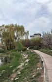 Туры в отель Hampton by Hilton Jining Innovation Valley Туры в отель Hampton by Hilton Jining Innovation Valley
