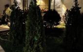 Туры в отель Haya Туры в отель Haya