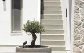 Туры в отель Kalea Suites Туры в отель Kalea Suites
