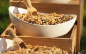 Туры в отель Holiday Inn Express & Suites Barcelona Sabadell by IHG Туры в отель Holiday Inn Express & Suites Barcelona Sabadell by IHG