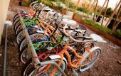Туры в отель Marriott Orlando Airport Lakeside Туры в отель Marriott Orlando Airport Lakeside