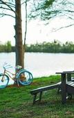 Туры в отель Marriott Orlando Airport Lakeside Туры в отель Marriott Orlando Airport Lakeside