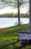 Туры в отель Marriott Orlando Airport Lakeside Туры в отель Marriott Orlando Airport Lakeside