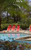 Туры в отель Marriott Orlando Airport Lakeside Туры в отель Marriott Orlando Airport Lakeside