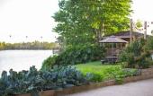 Туры в отель Marriott Orlando Airport Lakeside Туры в отель Marriott Orlando Airport Lakeside