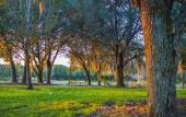 Туры в отель Hilton Vacation Club Mystic Dunes Orlando Туры в отель Hilton Vacation Club Mystic Dunes Orlando
