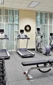 Туры в отель Hampton Inn & Suites Orlando Airport @ Gateway Village Туры в отель Hampton Inn & Suites Orlando Airport @ Gateway Village