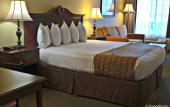 Туры в отель Anaheim Camelot Inn & Suites Туры в отель Anaheim Camelot Inn & Suites
