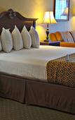 Туры в отель Anaheim Camelot Inn & Suites Туры в отель Anaheim Camelot Inn & Suites