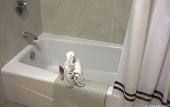 Туры в отель Anaheim Camelot Inn & Suites Туры в отель Anaheim Camelot Inn & Suites