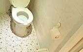 Туры в отель Chris Hostel Туры в отель Chris Hostel