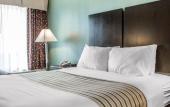 Туры в отель Super 8 by Wyndham Meadowlands Туры в отель Super 8 by Wyndham Meadowlands