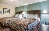 Туры в отель Super 8 by Wyndham Meadowlands Туры в отель Super 8 by Wyndham Meadowlands