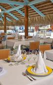 Туры в отель Iberostar Punta Cana Туры в отель Iberostar Punta Cana