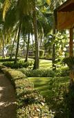 Туры в отель Iberostar Punta Cana Туры в отель Iberostar Punta Cana