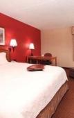 Туры в отель Best Western Plus Meadowlands Туры в отель Best Western Plus Meadowlands