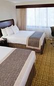 Туры в отель The Darcy Hotel Туры в отель The Darcy Hotel